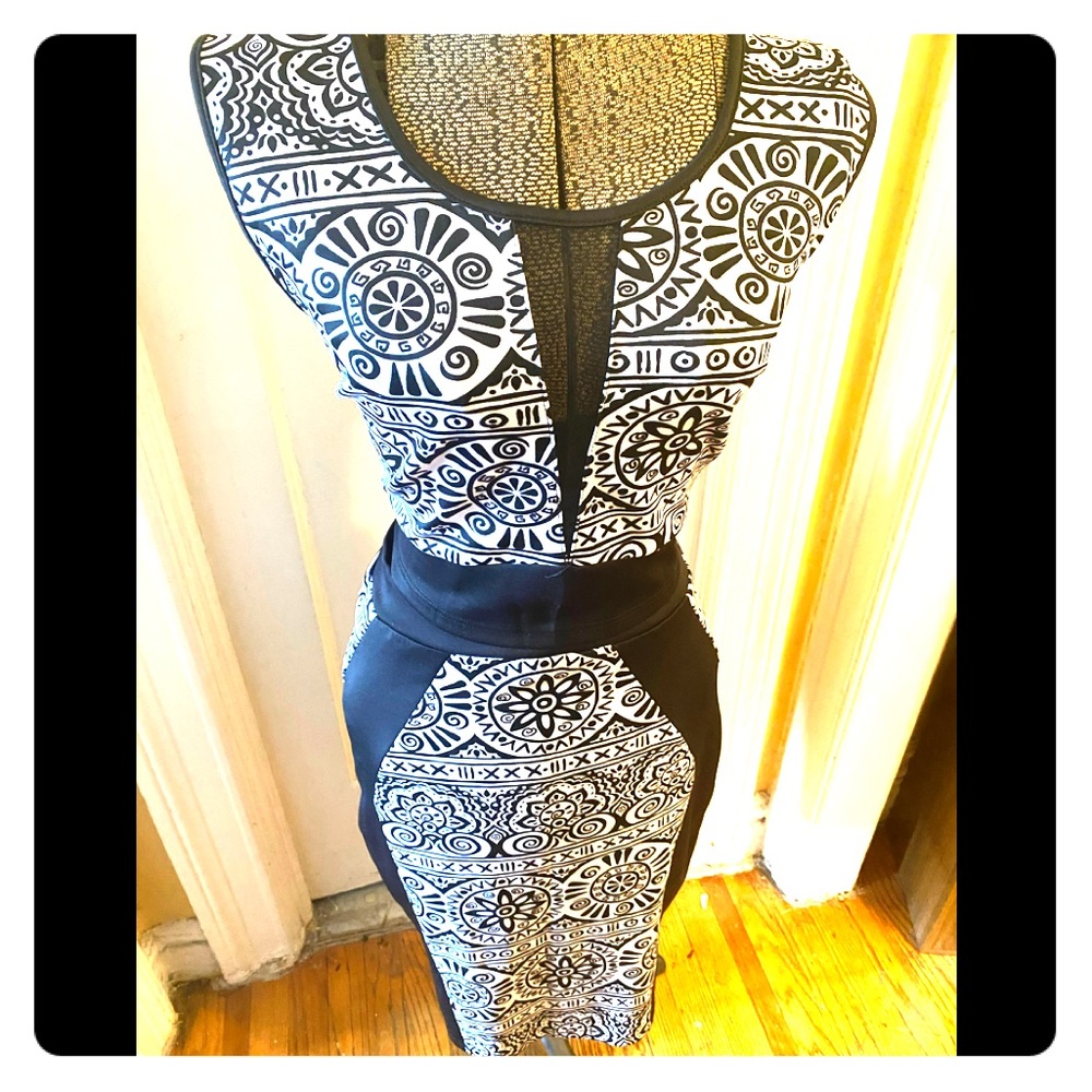 Black and White Crop Top with Matching Skirt